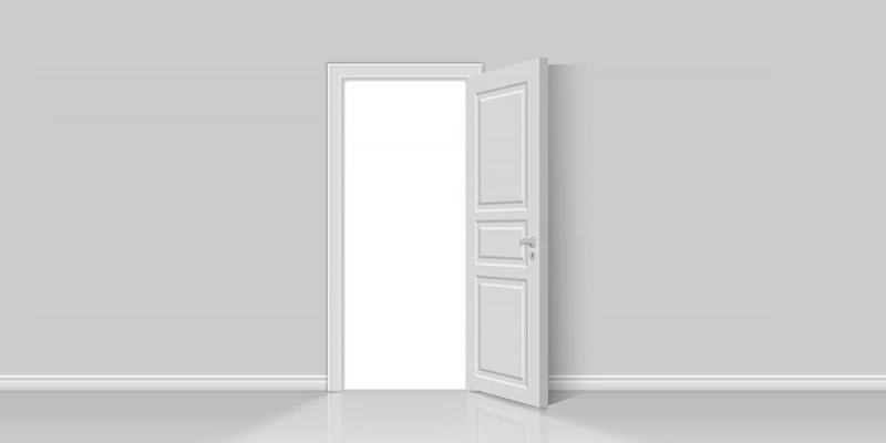 plain flush door design